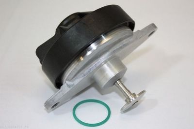 EGR Valve AUTOMEGA 130098910