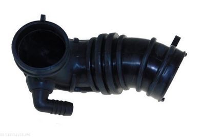 Intake Hose, air filter AUTOMEGA 130116510