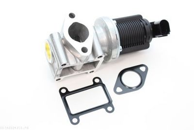 EGR Valve AUTOMEGA 140024310