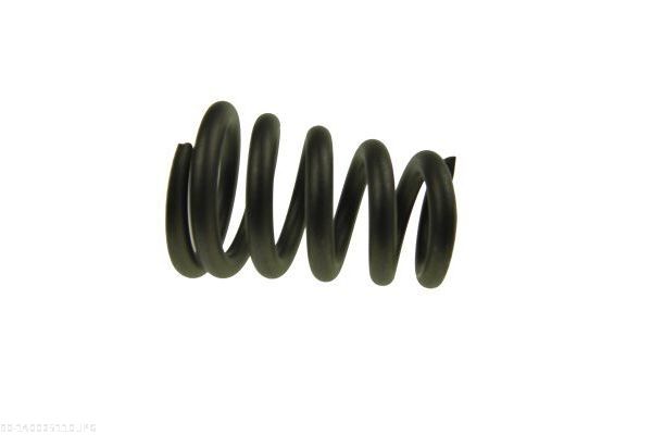 AUTOMEGA 140025110 Spring, exhaust pipe