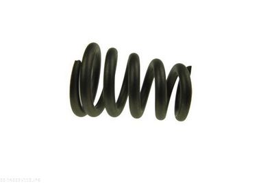 Spring, exhaust pipe AUTOMEGA 140025110