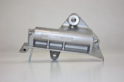 Vibration Damper, timing belt AUTOMEGA 160010010
