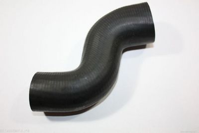Radiator Hose AUTOMEGA 160098710