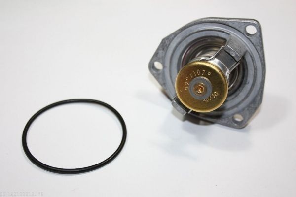 AUTOMEGA 160100010 Thermostat, coolant