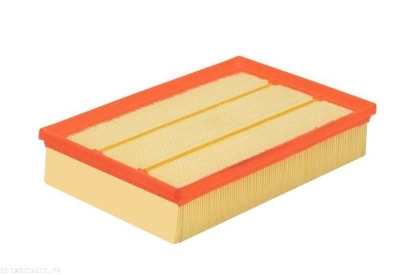 AUTOMEGA 180016610 Air Filter