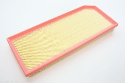 Air Filter AUTOMEGA 180027710