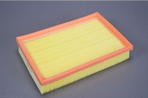 AUTOMEGA 180030210 Air Filter