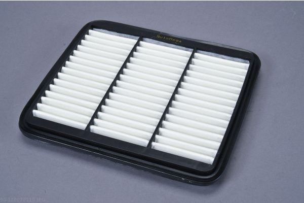 AUTOMEGA 180070110 Air Filter