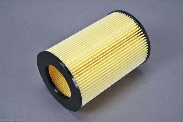AUTOMEGA 180075110 Air Filter