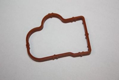 Gasket, intake manifold AUTOMEGA 190060810
