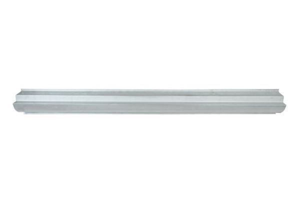 BLIC 1020-01-022340P Rocker Panel