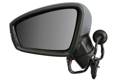 Exterior Mirror BLIC 5402-01-1609312P