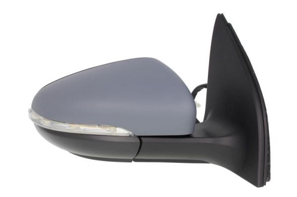 BLIC 5402-01-2002634P Exterior Mirror