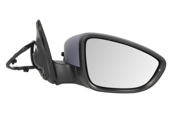 BLIC 5402-01-2002718P Exterior Mirror