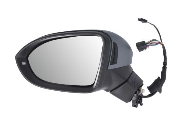 BLIC 5402-01-2526314P Exterior Mirror