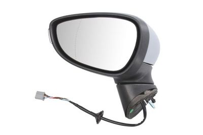 Exterior Mirror BLIC 5402-04-0304593P