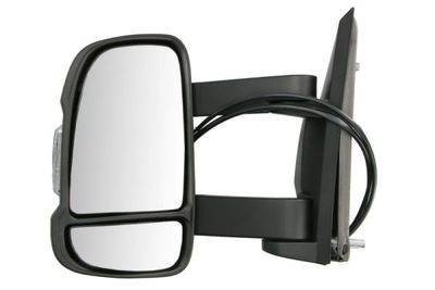 Exterior Mirror BLIC 5402-04-0317313P