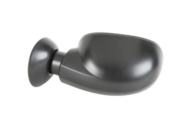 BLIC 5402-04-1111599P Exterior Mirror