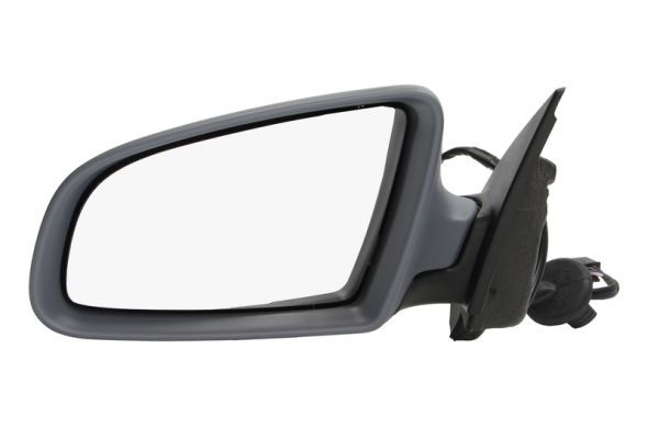 BLIC 5402-04-1119590P Exterior Mirror