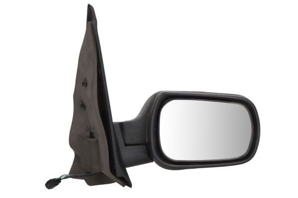 BLIC 5402-04-1121389P Exterior Mirror