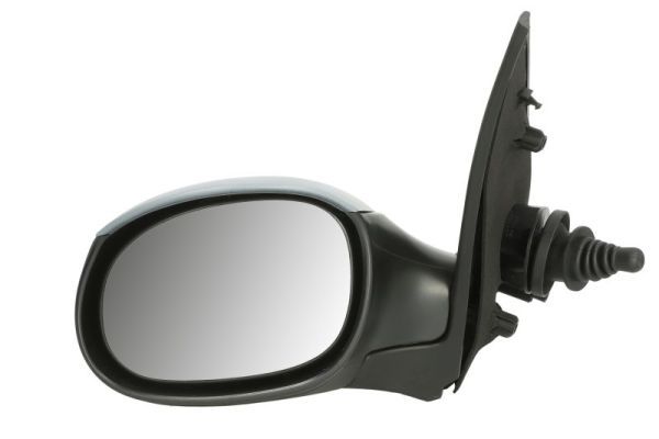 BLIC 5402-04-1121531P Exterior Mirror