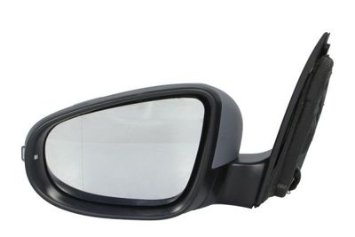 Exterior Mirror BLIC 5402-04-1121589P