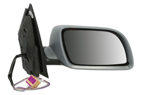 BLIC 5402-04-1129119P Exterior Mirror