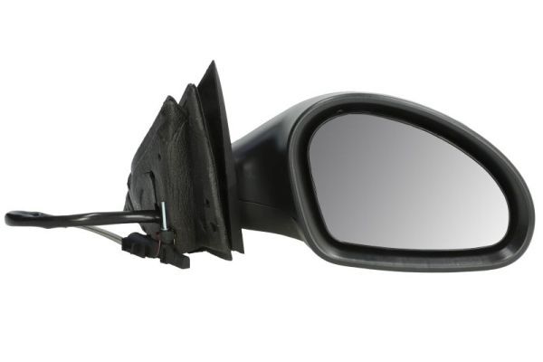 BLIC 5402-04-1138892P Exterior Mirror