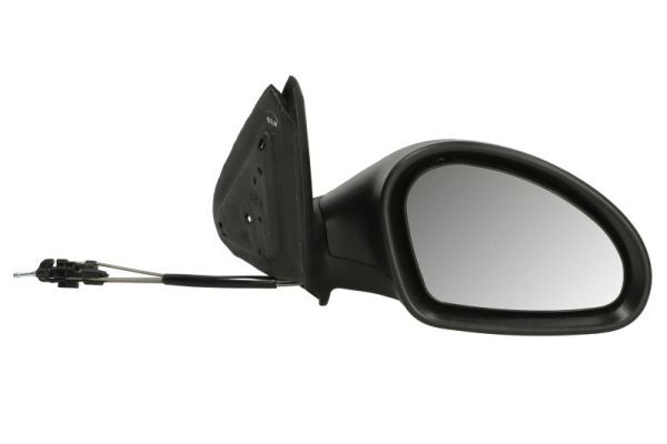 BLIC 5402-04-1138997P Exterior Mirror