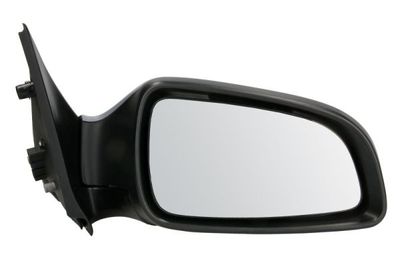 Exterior Mirror BLIC 5402-04-1139239P