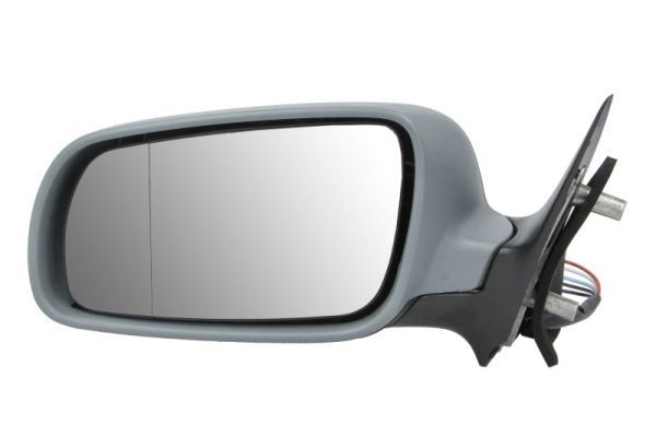 BLIC 5402-04-1139521P Exterior Mirror