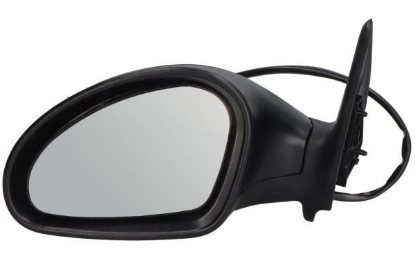 BLIC 5402-04-1139997P Exterior Mirror