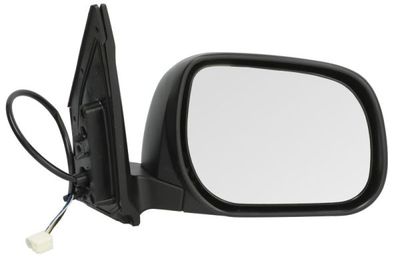 Exterior Mirror BLIC 5402-04-9922999P