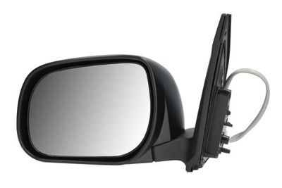 Exterior Mirror BLIC 5402-04-9929999P