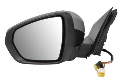 Exterior Mirror BLIC 5402-08-1117310P