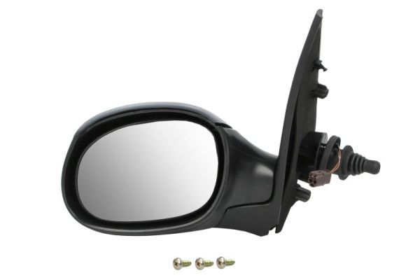 BLIC 5402-08-2002907P Exterior Mirror