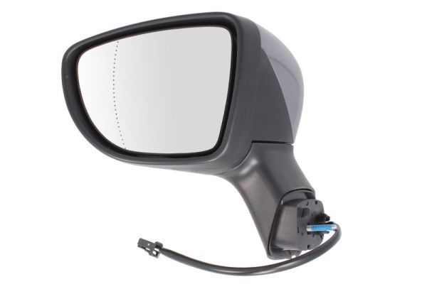 BLIC 5402-09-2002103P Exterior Mirror
