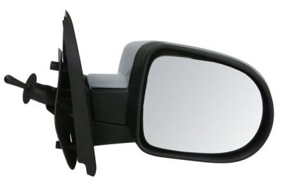 Exterior Mirror BLIC 5402-09-2002234P