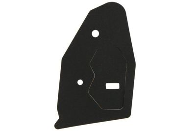 Gasket, tail light assembly BLIC 5402-19-1493501P