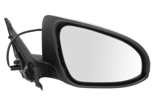 BLIC 5402-19-2002554P Exterior Mirror