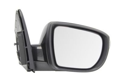 Exterior Mirror BLIC 5402-20-2001424P