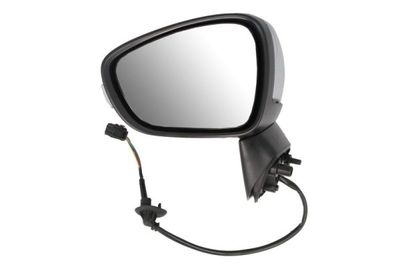 Exterior Mirror BLIC 5402-21-1882318P