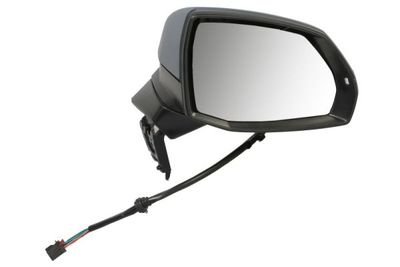 Exterior Mirror BLIC 5402-25-1875319P