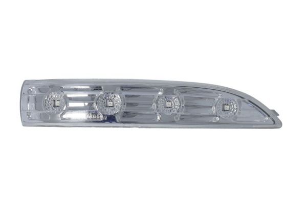 BLIC 5403-20-0546106P Direction Indicator