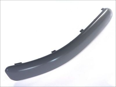 Trim/Protection Strip, bumper BLIC 5510-00-9506924P