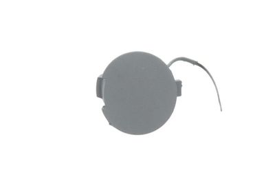 Bumper Cover, trailer hitch BLIC 5513-00-0110920Q