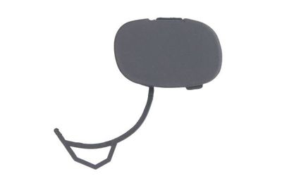 Bumper Cover, trailer hitch BLIC 5513-00-9038920P