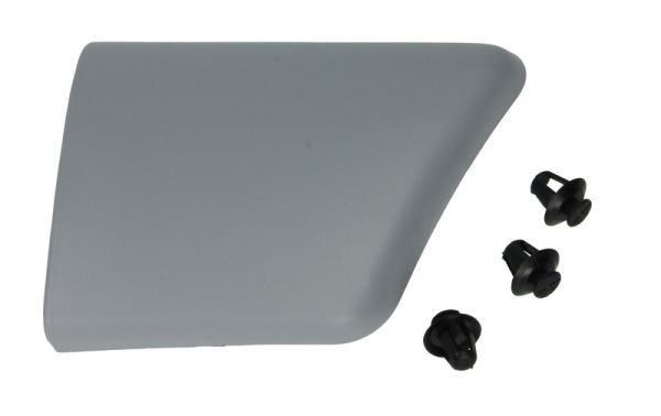 BLIC 5703-04-0550476P Trim/Protection Strip, wing