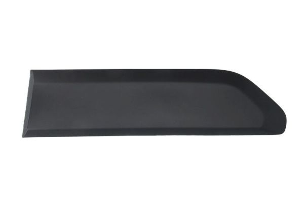 BLIC 5703-04-0554573P Trim/Protection Strip, door