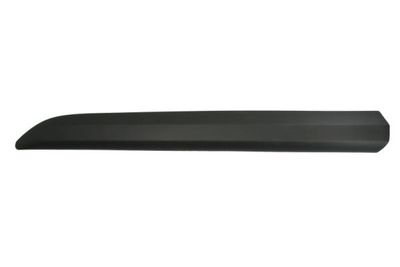 Trim/Protection Strip, door BLIC 5703-04-0559571P